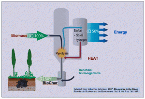 diagram of biochar production and carbon sequestration through
