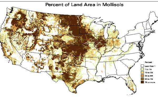 Percent of North American land area in Mollisols