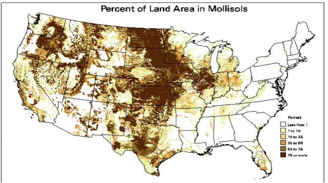Percent of North American land area in Mollisols