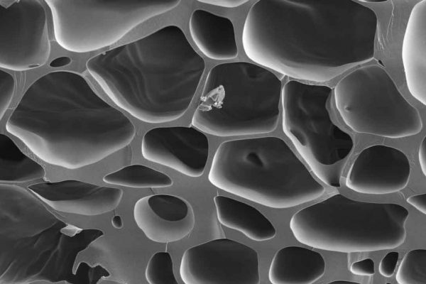 biochar electron microscope pore structure