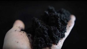 biochar source loose in hand