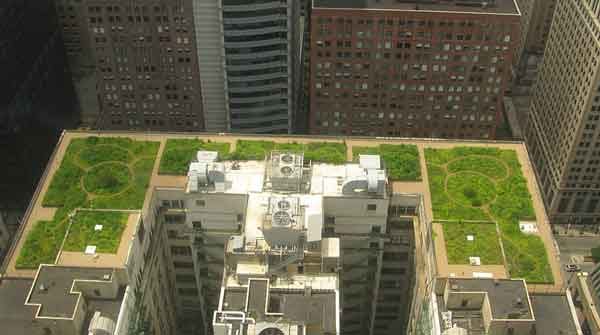 green roofs Chicago City Hall