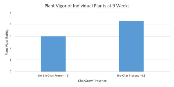 bar chart of plant vigor measurement in hemp trial with biochar and microbes
