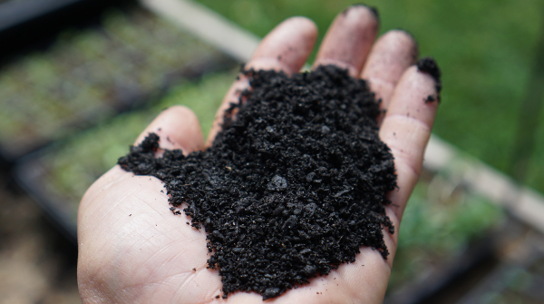 Activated carbon vs inoculated biochar